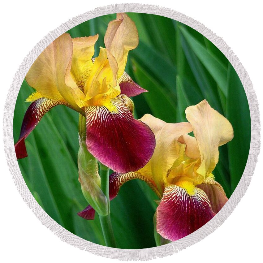 Fine Art Round Beach Towel featuring the photograph Two Iris by Rodney Lee Williams
