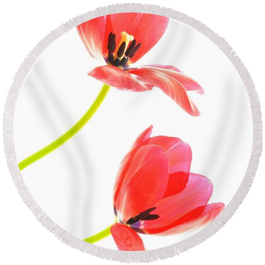 Flower Round Beach Towel featuring the photograph Two Red Transparent Flowers by Phyllis Meinke