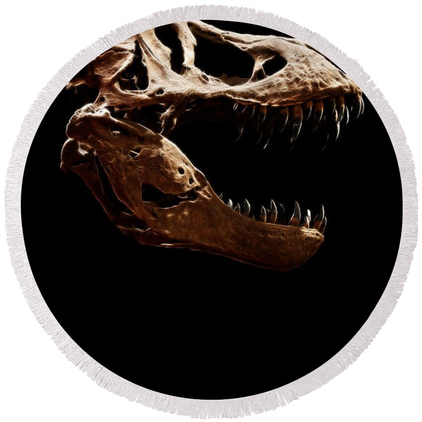 Tyrannosaurus Rex Skull Round Beach Towel featuring the photograph Tyrannosaurus rex skull 1 by Weston Westmoreland