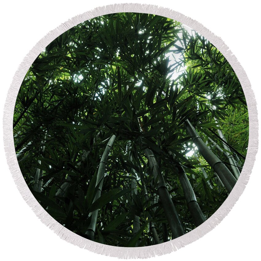 Bamboo Round Beach Towel featuring the photograph Under the Bamboo Haleakala National Park by Vivian Christopher
