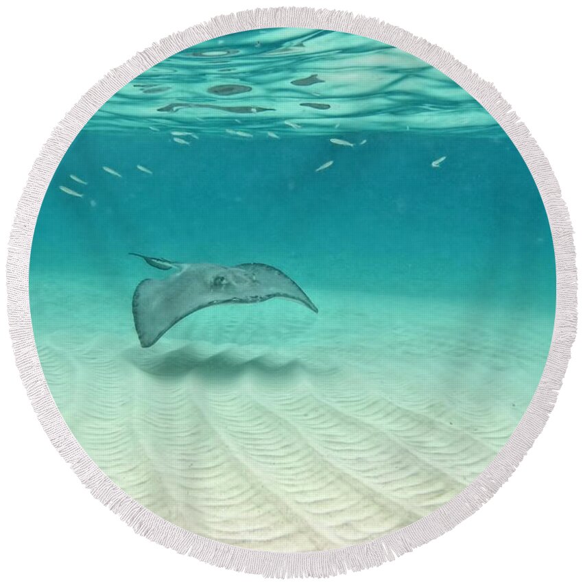 Stingray Round Beach Towel featuring the photograph Underwater Flight by Peggy Hughes