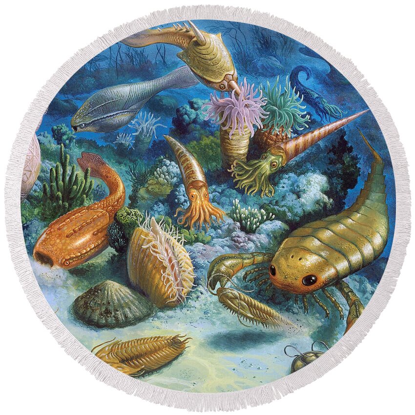 Illustration Round Beach Towel featuring the photograph Underwater Life During The Paleozoic by Publiphoto