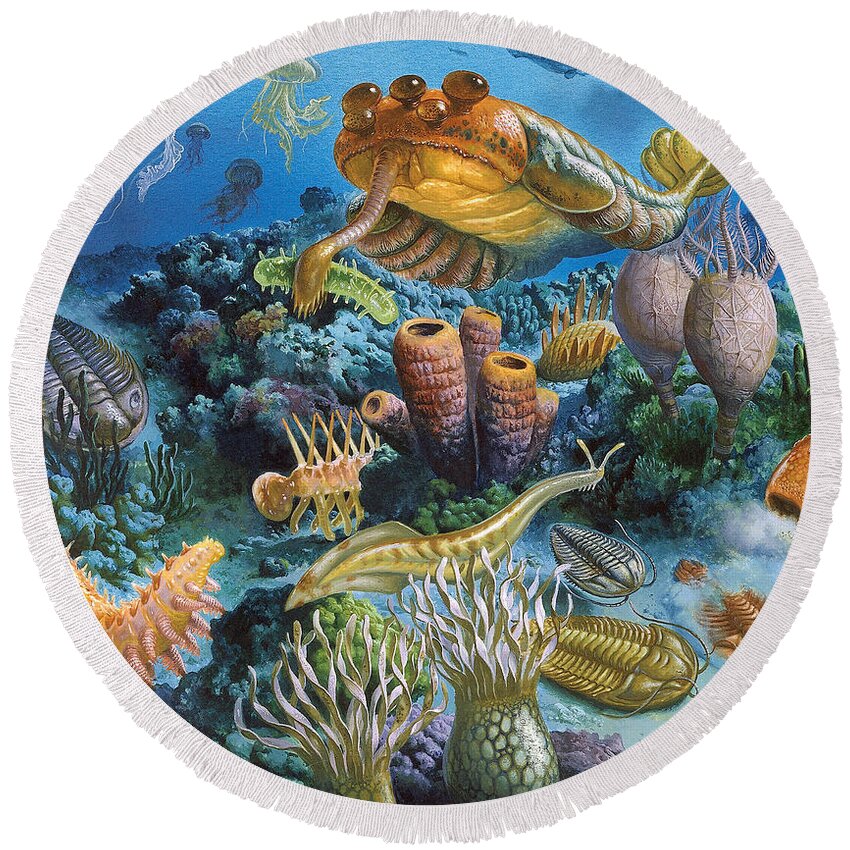 Illustration Round Beach Towel featuring the photograph Underwater Paleozoic Landscape by Publiphoto