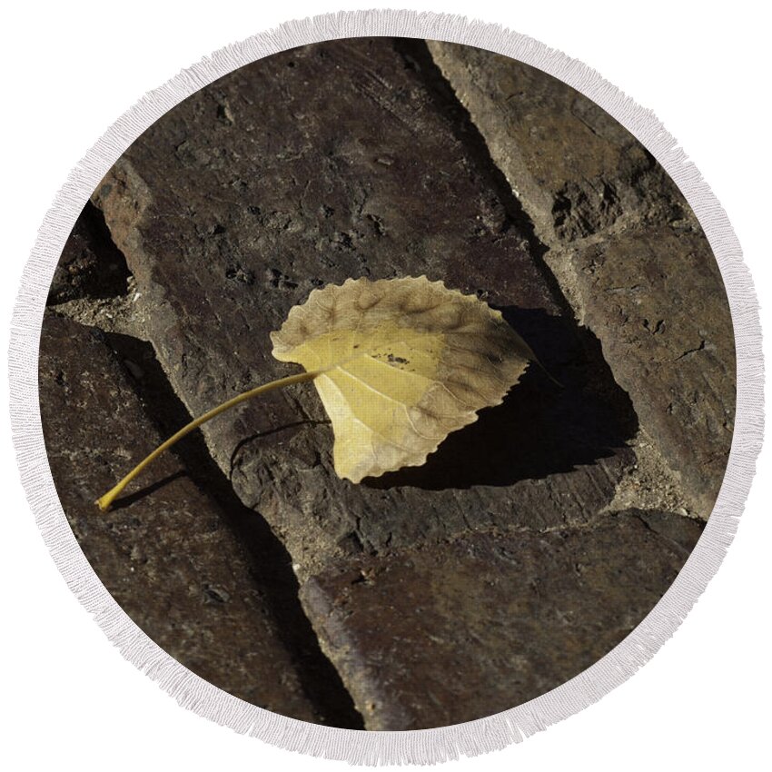 Leaf Round Beach Towel featuring the photograph Untouched by Thomas Young
