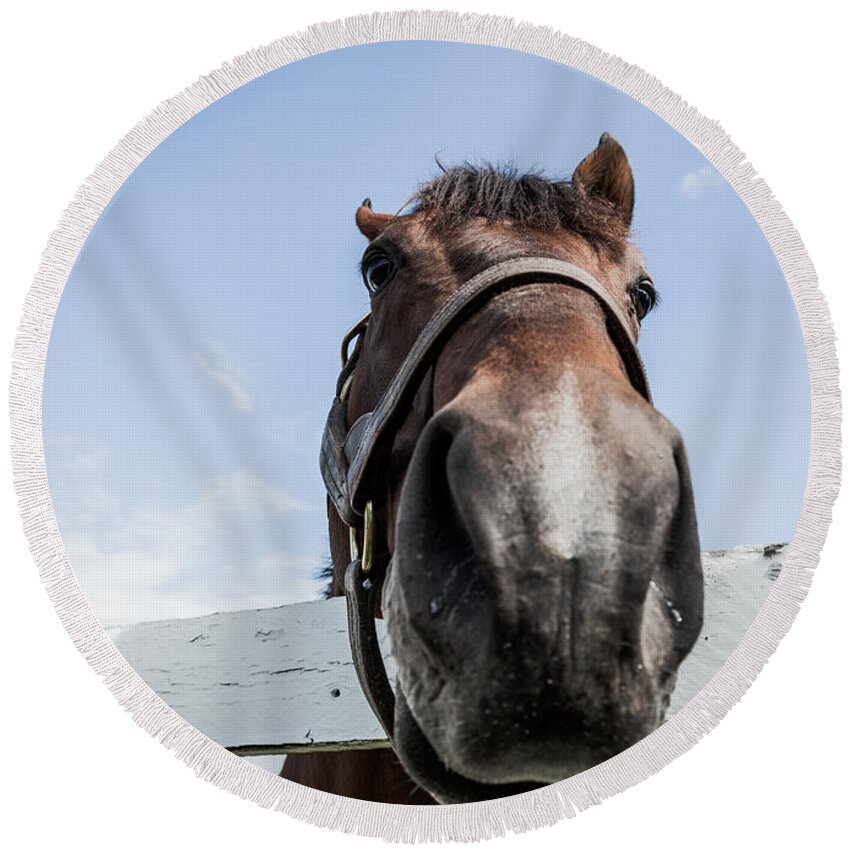 Horse Round Beach Towel featuring the photograph Up close by Alexey Stiop