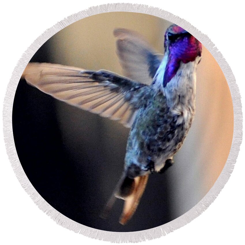 Hummingbird Round Beach Towel featuring the photograph Up Up And Away Male Hummingbird by Jay Milo