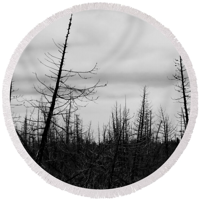 Black And White Photo Round Beach Towel featuring the digital art Upper Peninsula Marshlands by Tim Richards