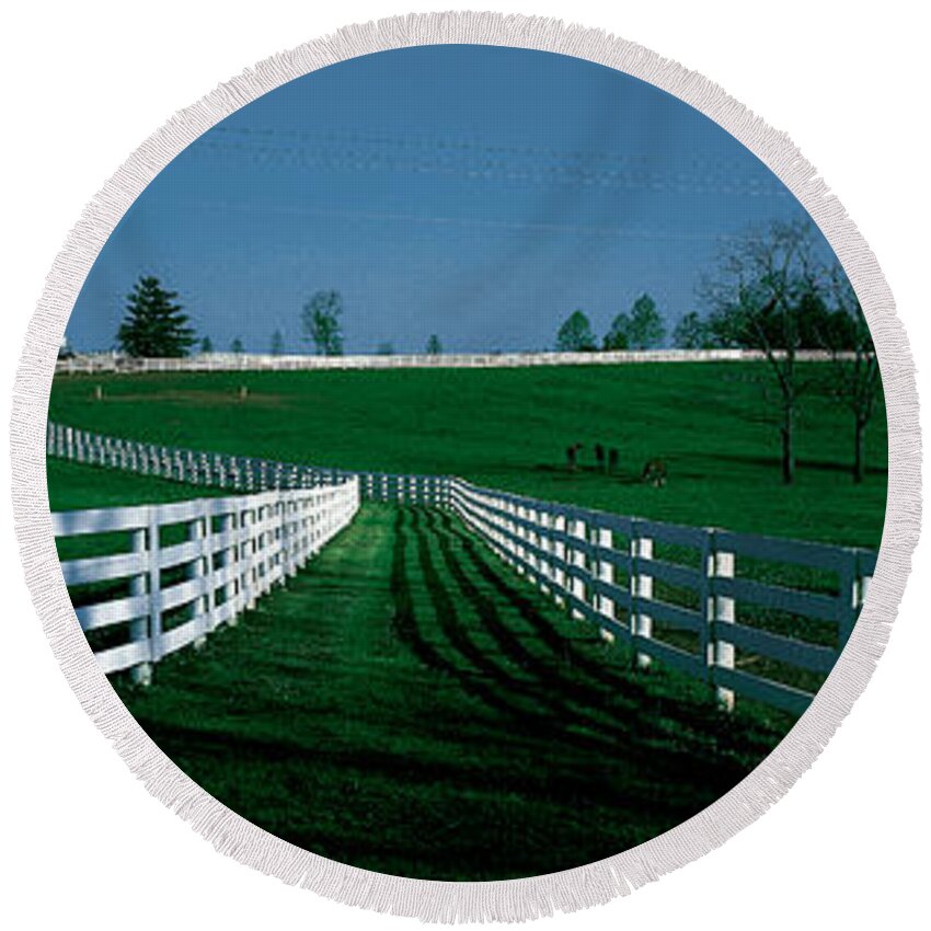 Photography Round Beach Towel featuring the photograph Usa, Kentucky, Lexington, Horse Farm by Panoramic Images