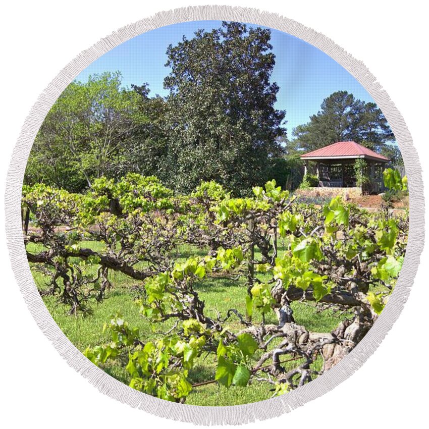 8306 Round Beach Towel featuring the photograph Vineyard View by Gordon Elwell