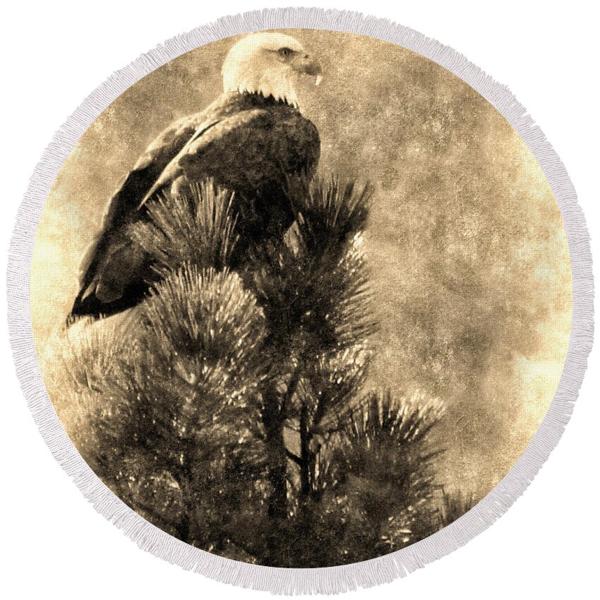 Bald Eagle Round Beach Towel featuring the photograph Vintage Bald Eagle by Priscilla Burgers