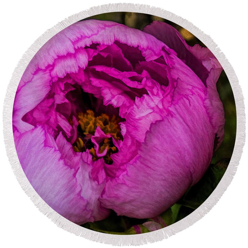 Paeonia Round Beach Towel featuring the photograph Vintage Peony by Gillian Singleton