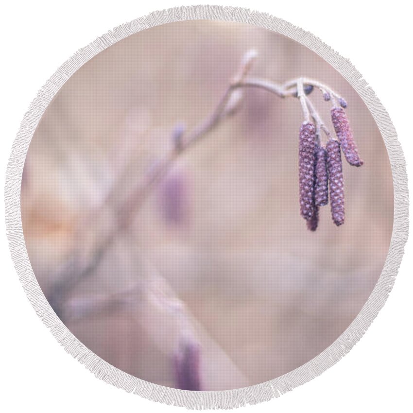 2x1 Round Beach Towel featuring the photograph Violet Hazel by Hannes Cmarits