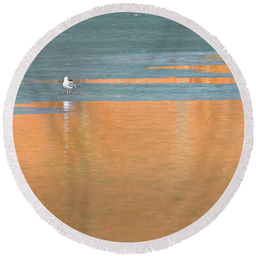 Reflection Round Beach Towel featuring the photograph Warming Waters by Bill Wakeley