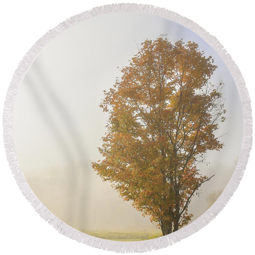 Ithaca Round Beach Towel featuring the photograph Warmth by Evelina Kremsdorf