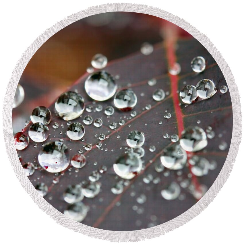 Water Round Beach Towel featuring the photograph Water drops on Cotinus by Simon Bratt