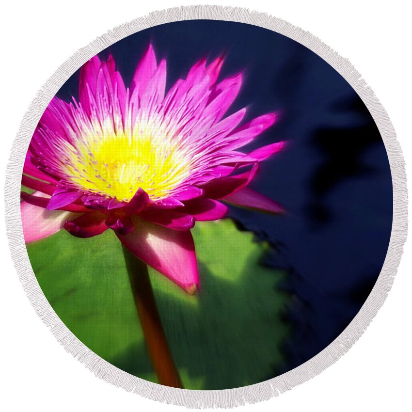 Flower Round Beach Towel featuring the photograph Water Flower by Marty Koch