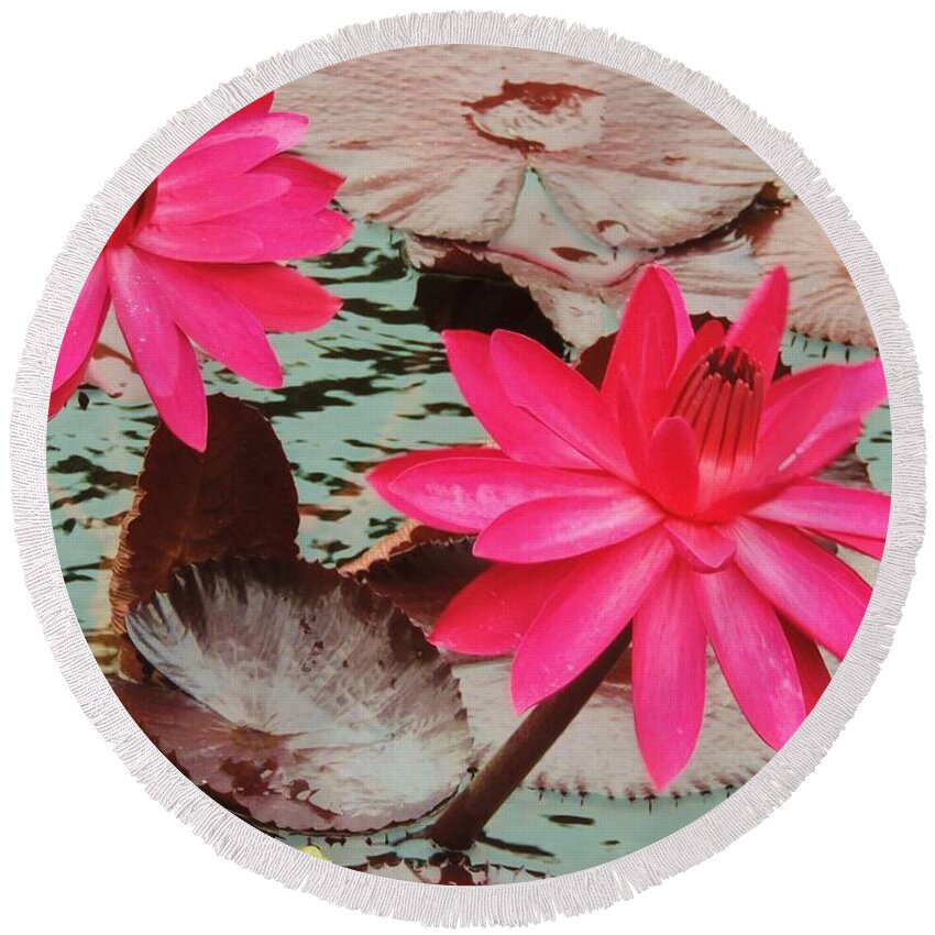 Water Lily Round Beach Towel featuring the photograph Water Lilies 006 by Robert ONeil