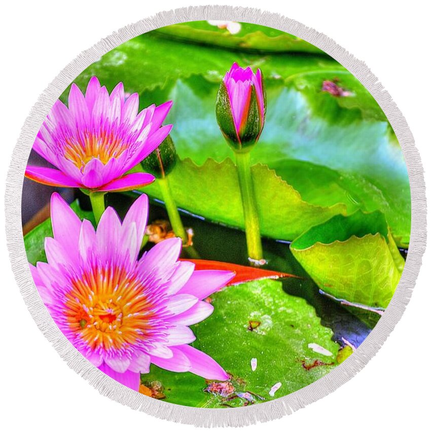 Hdr Round Beach Towel featuring the photograph Water Lilies 2 by Richard Zentner