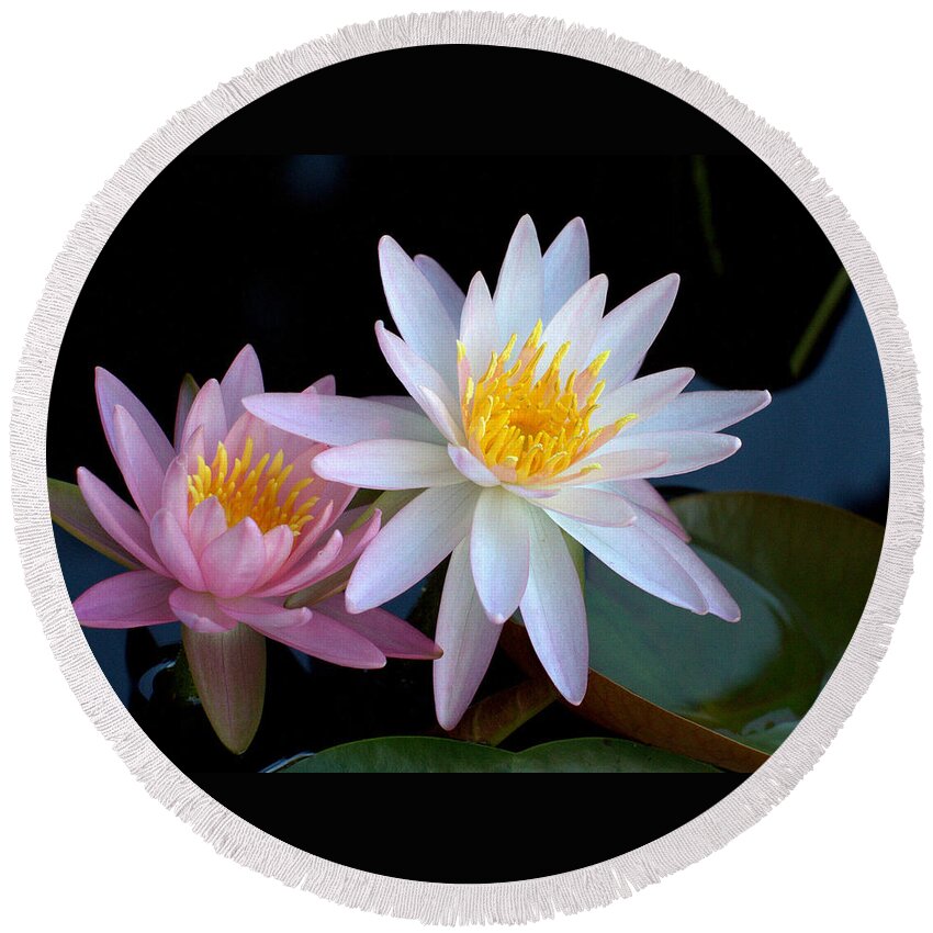 Flower Round Beach Towel featuring the photograph Water Lilies by Farol Tomson