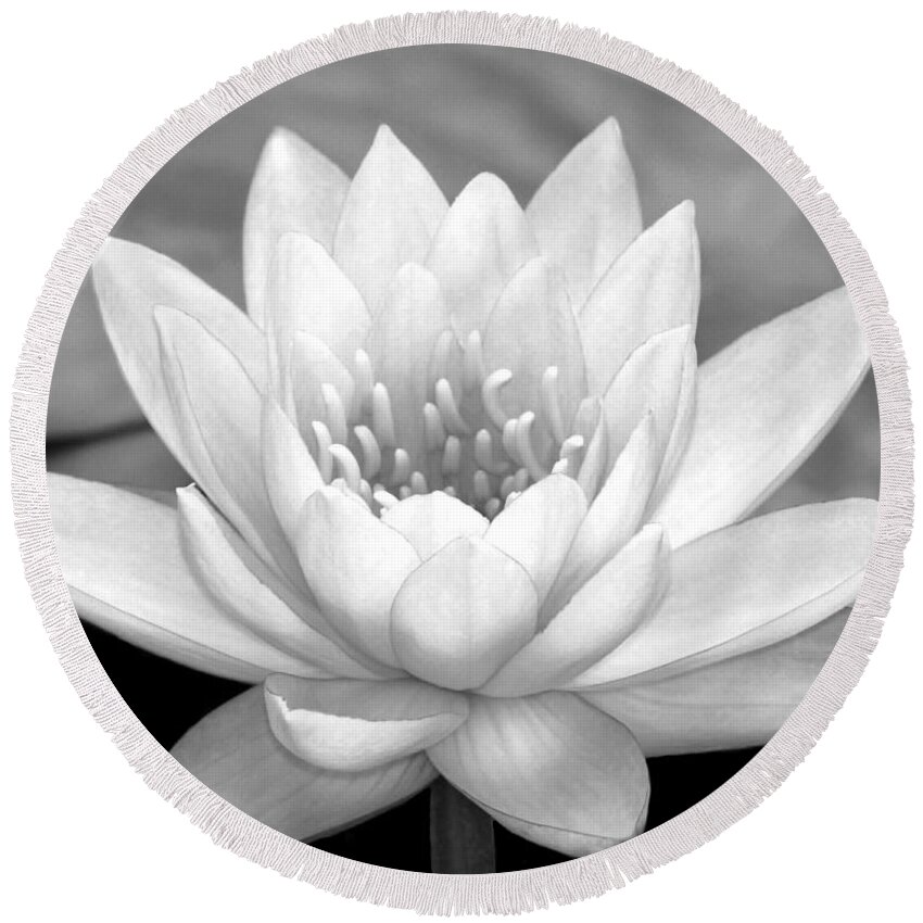 Landscape Round Beach Towel featuring the photograph Water Lily in Black and White by Sabrina L Ryan