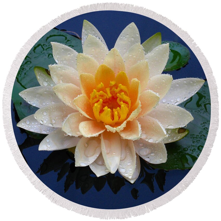 Waterlily Round Beach Towel featuring the photograph Waterlily After a Shower by Raymond Salani III