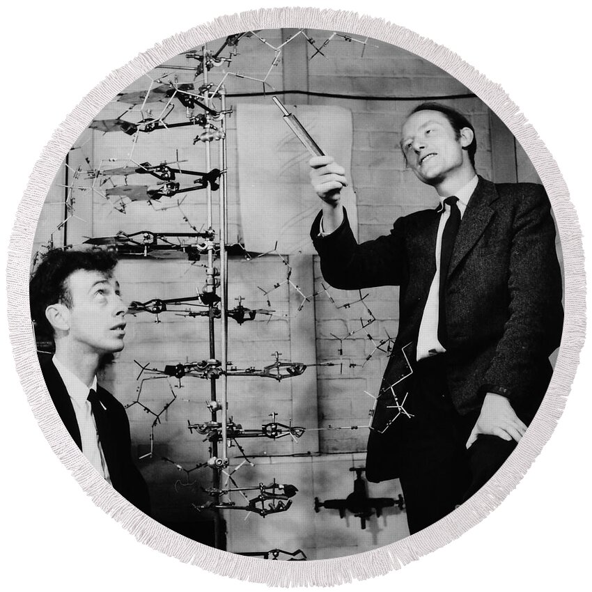 Watson Round Beach Towel featuring the photograph Watson and Crick with DNA Model by A Barrington Brown