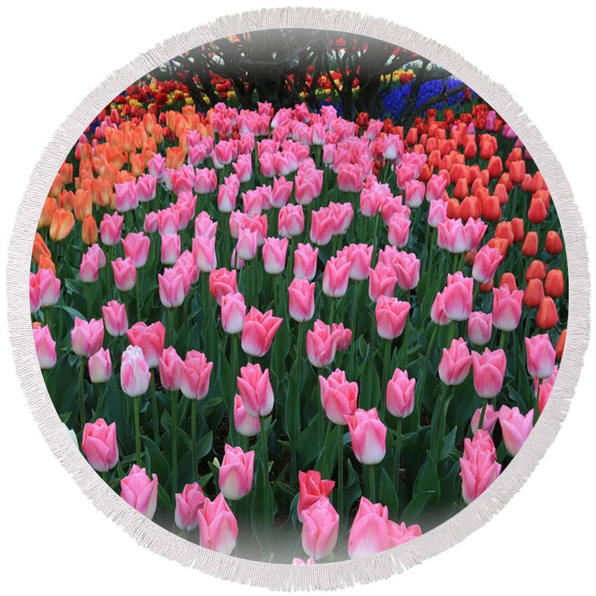 Tulip Round Beach Towel featuring the photograph Welcoming Tulips by Carol Groenen