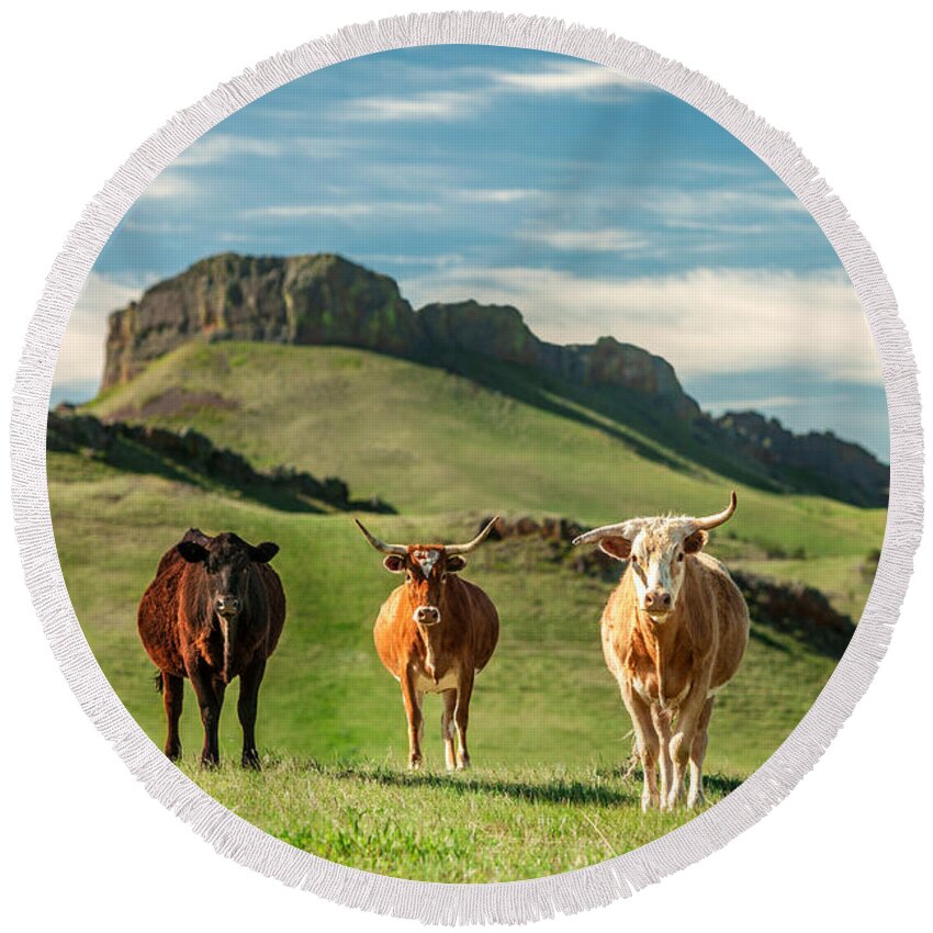 Cattle Round Beach Towel featuring the photograph Western Longhorns by Todd Klassy