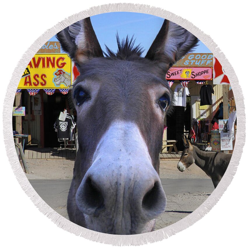 Donkey Round Beach Towel featuring the photograph What . . . No Carrots by Mike McGlothlen