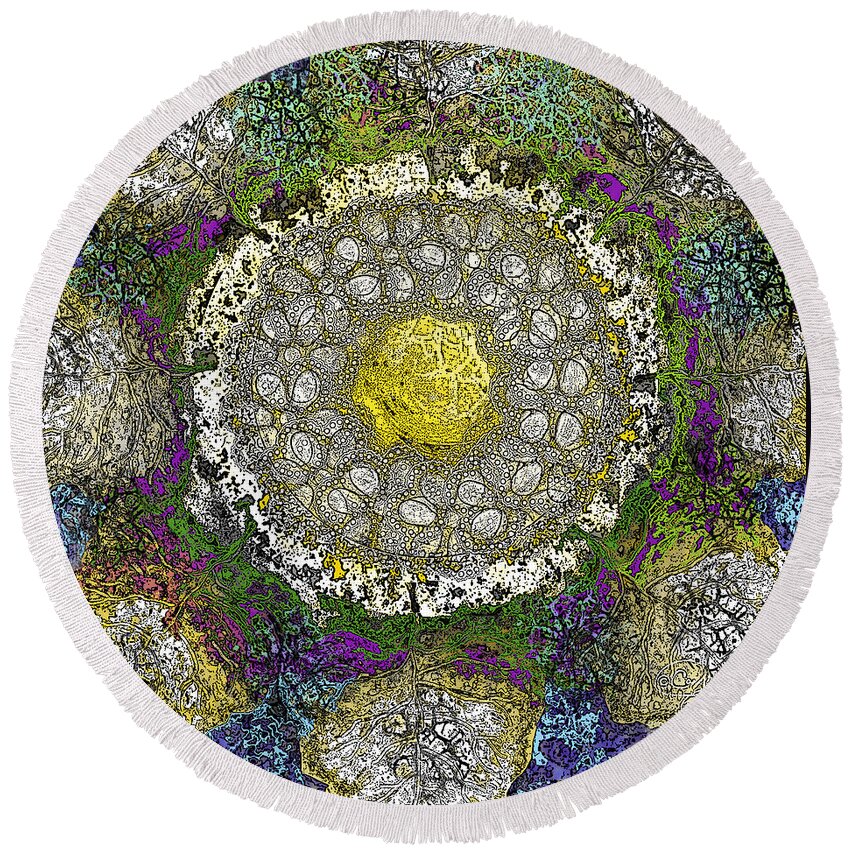 Sun Round Beach Towel featuring the digital art What Kind of SUn III by Carol Jacobs