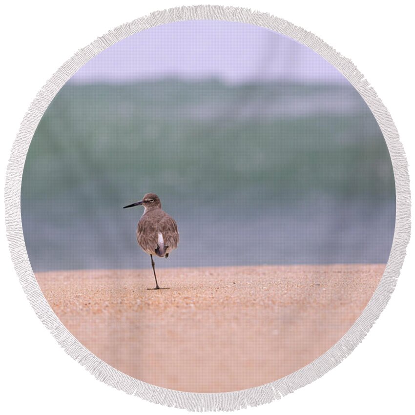 Piper Round Beach Towel featuring the photograph What Wave By Denise Dube by Denise Dube