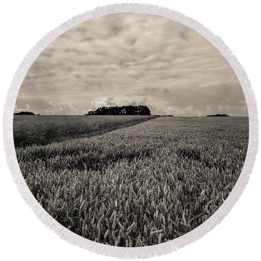 France Round Beach Towel featuring the photograph Wheatfields by Matthew Pace