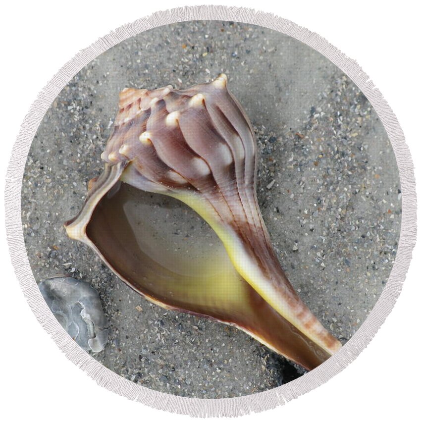 Landscape Round Beach Towel featuring the photograph Whelk with Sand by Ellen Meakin