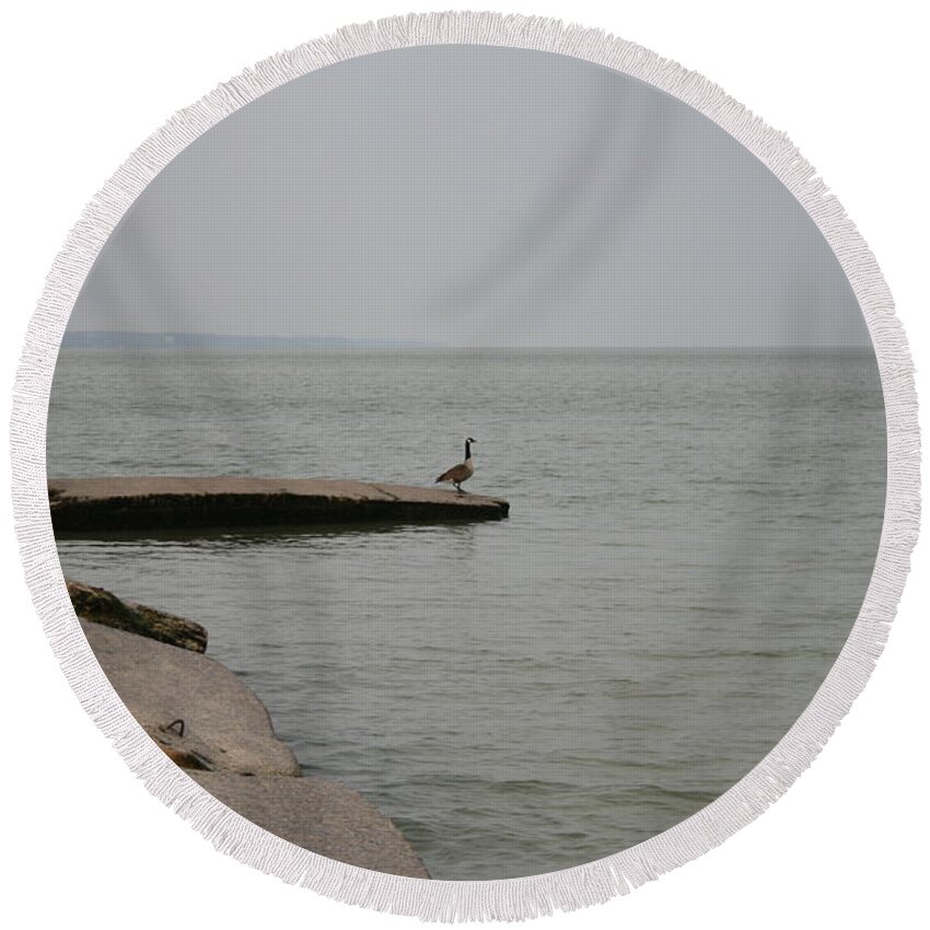 Canadian Geese Round Beach Towel featuring the photograph Solitude on Lake Erie by Valerie Collins