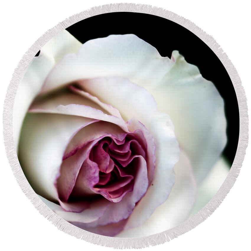 Nature Round Beach Towel featuring the photograph White and Magenta Rose by Sennie Pierson