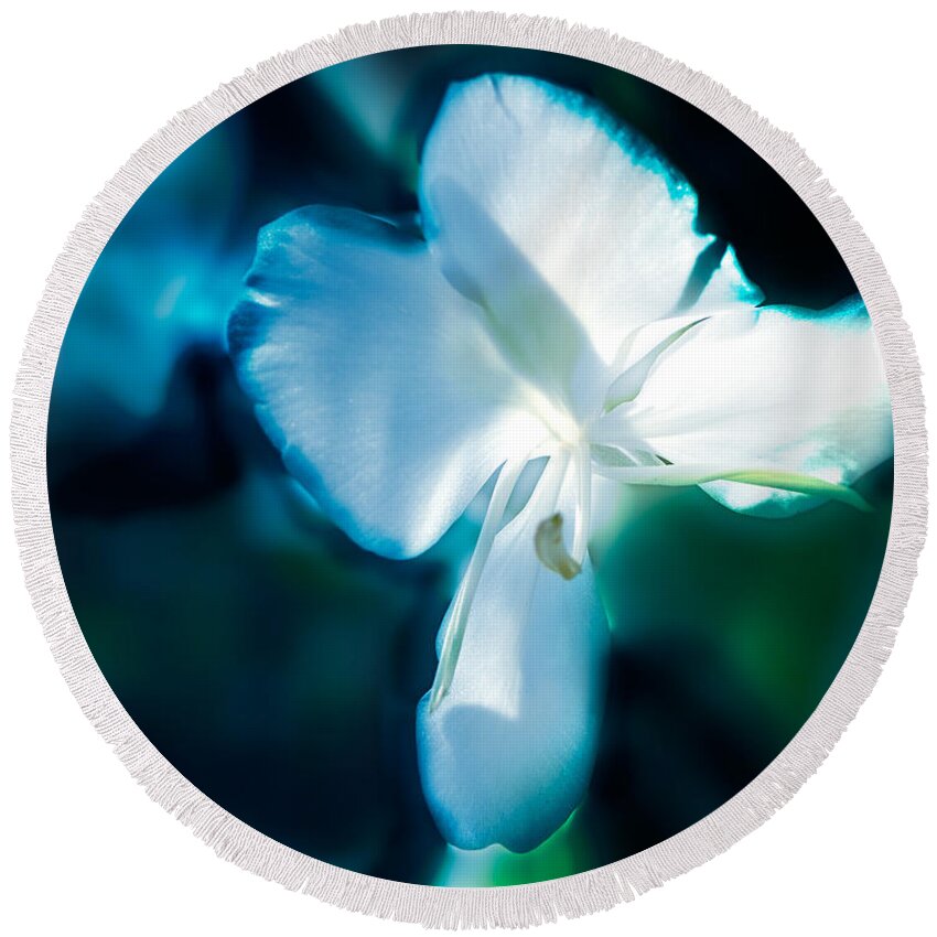 Flower Round Beach Towel featuring the photograph White Lily by Frank Bright