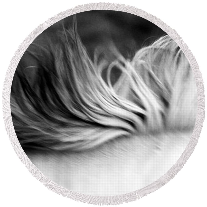 Rtf Ranch Round Beach Towel featuring the photograph White Mare Mane Number One Close Up Panoramic Black and White by Heather Kirk