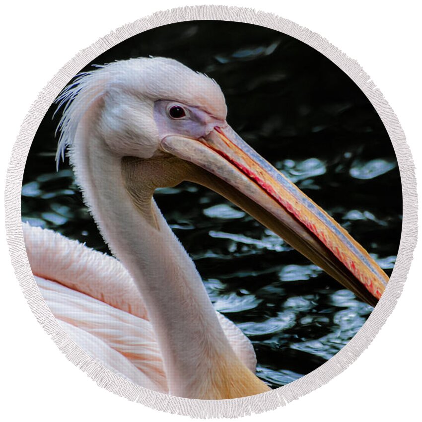 Animal Round Beach Towel featuring the photograph White Pelican by Hannes Cmarits
