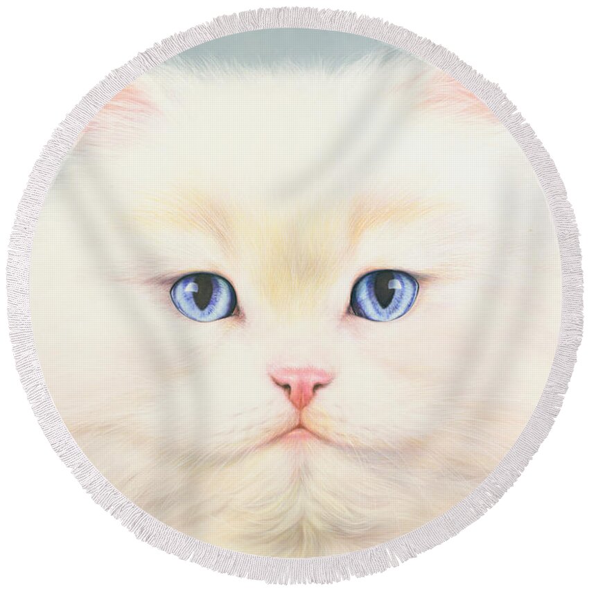 #faatoppicks Round Beach Towel featuring the photograph White Persian by MGL Meiklejohn Graphics Licensing