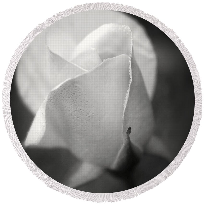 White Rose Round Beach Towel featuring the photograph White Rose Moonlight Glow - Black and White Flower Photography by Ella Kaye Dickey