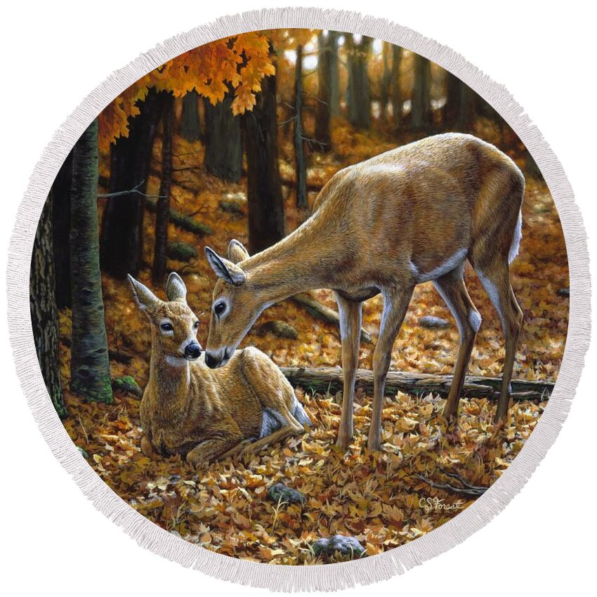 Deer Round Beach Towel featuring the painting Whitetail Deer - Autumn Innocence 2 by Crista Forest