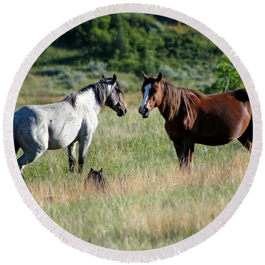 Animal Round Beach Towel featuring the photograph Wild Horses in Medora by Sabrina L Ryan