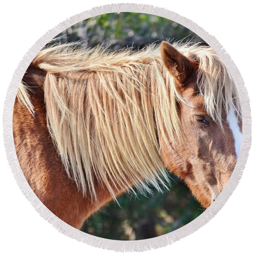 Horse Round Beach Towel featuring the photograph Wild Ponies of Assteague 20 by Kim Bemis