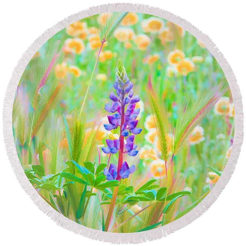 California Wildflowers Round Beach Towel featuring the photograph Wildflower Meadow - Spring in Central California by Ram Vasudev