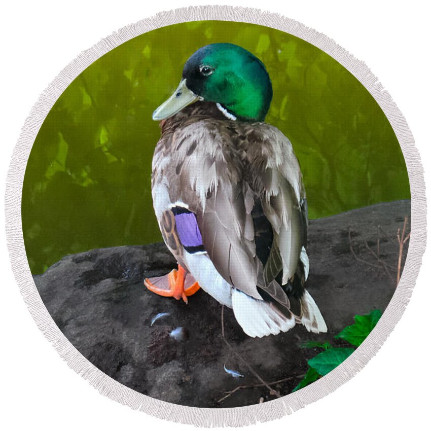 Duck Round Beach Towel featuring the photograph Wildlife In Central Park by Charlie Cliques
