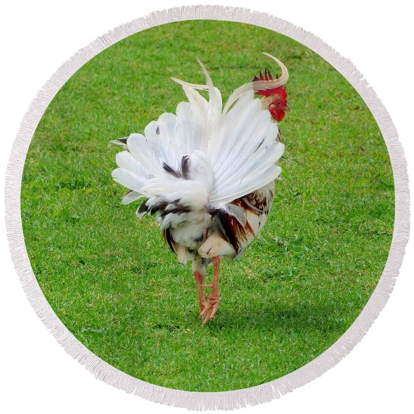 Rooster Round Beach Towel featuring the photograph Wind Dancer by Mary Deal