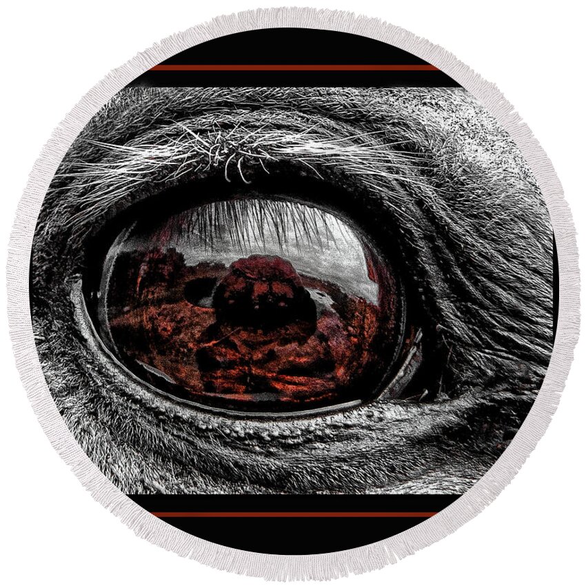 Window Round Beach Towel featuring the photograph Window To His Soul by Lucy VanSwearingen