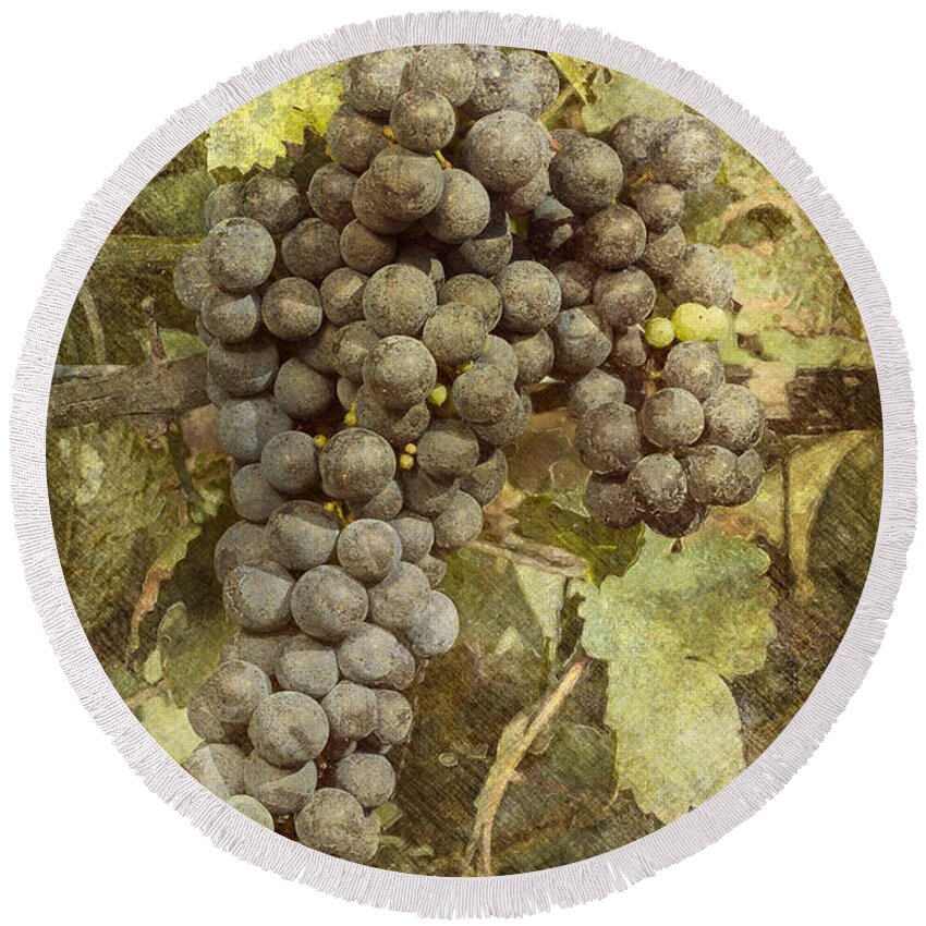 Grape Round Beach Towel featuring the photograph Winery Grapes by Carrie Cranwill