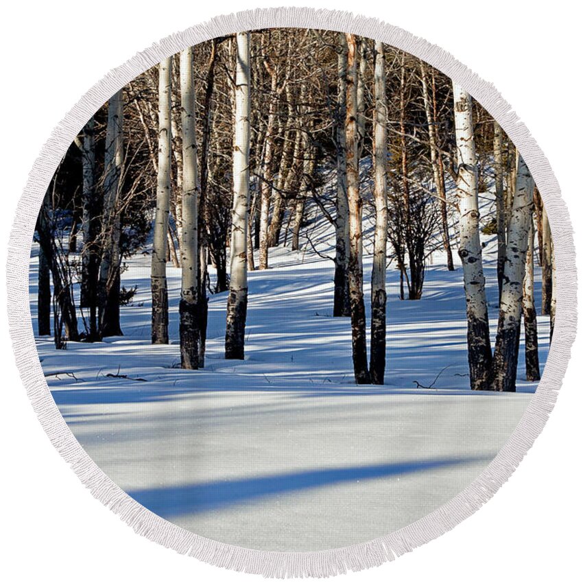 Aspen Trees Round Beach Towel featuring the photograph Winter Aspens by Jack Bell