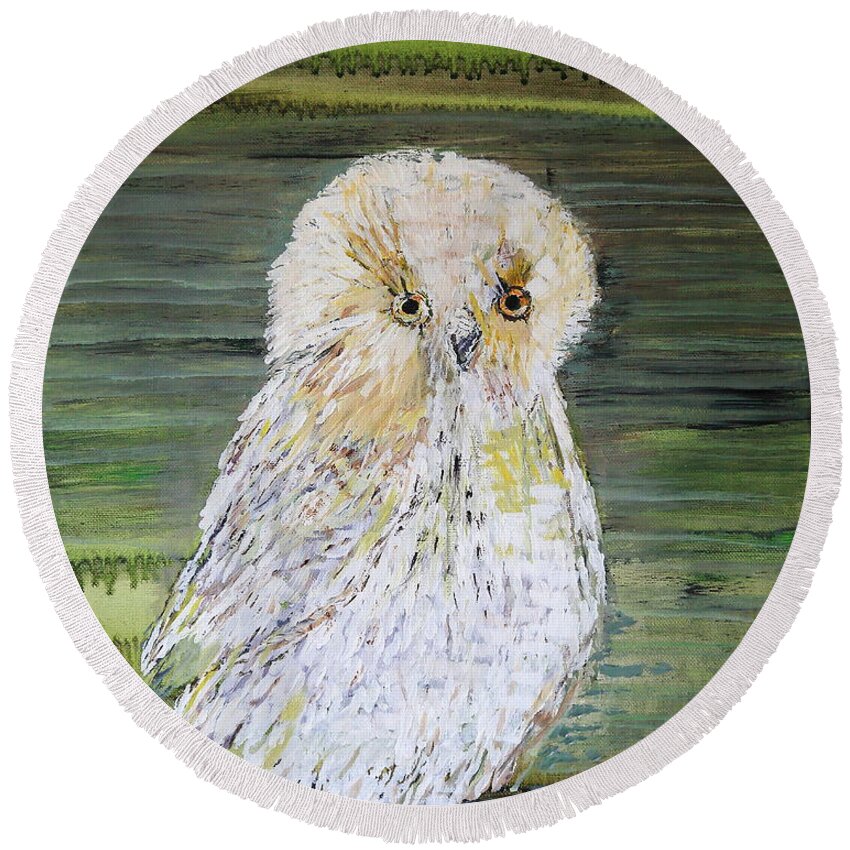 Snowy Owl Round Beach Towel featuring the photograph Harry's Owl by PJQandFriends Photography